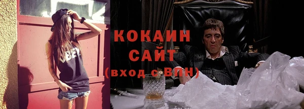 гидра Абаза
