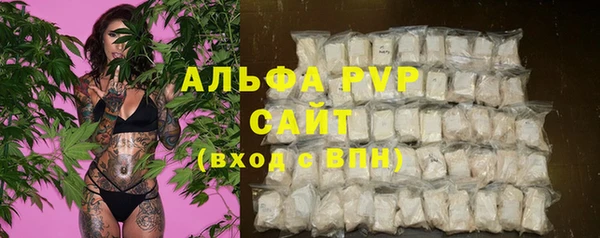 гидра Абаза