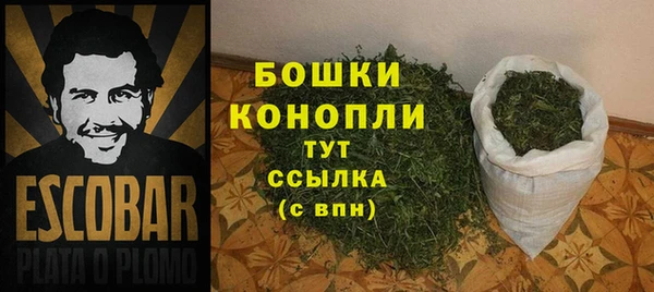 гидра Абаза